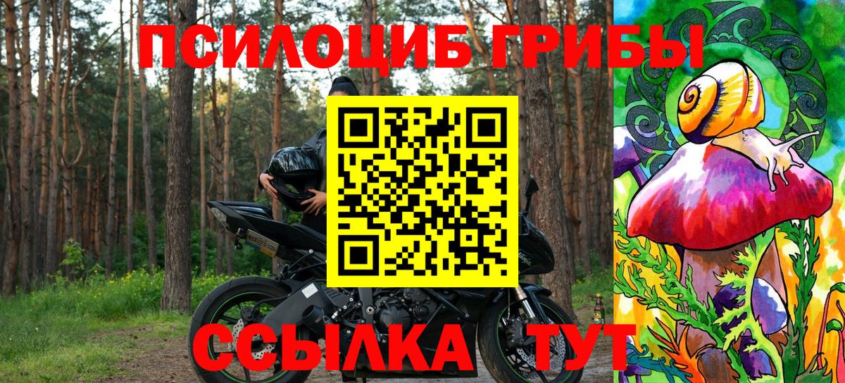 Ишимбай  Галлюциногенные грибы GOLDEN TEACHER  Вход с VPN 